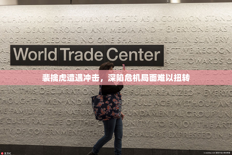 裴擒虎遭遇冲击，深陷危机局面难以扭转