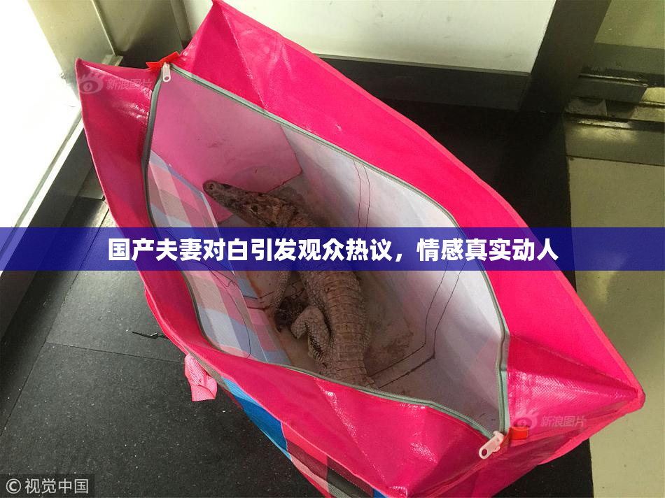 国产夫妻对白引发观众热议，情感真实动人