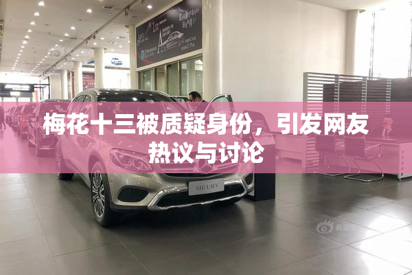 梅花十三被质疑身份，引发网友热议与讨论