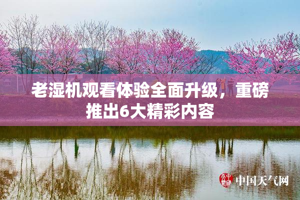 老湿机观看体验全面升级，重磅推出6大精彩内容