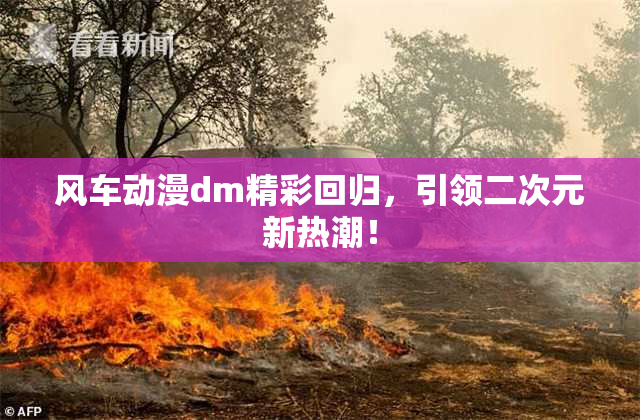 风车动漫dm精彩回归，引领二次元新热潮！