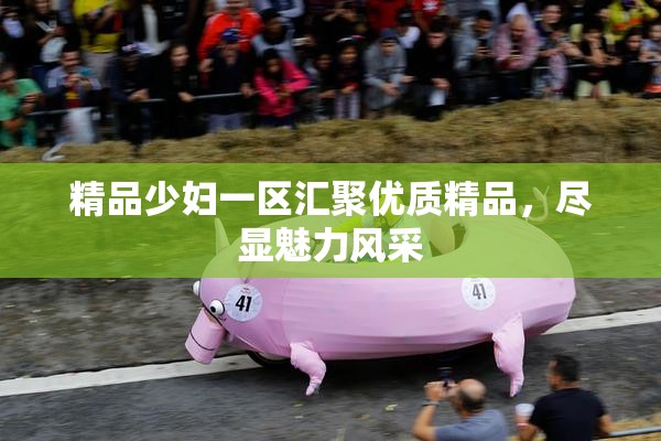 精品少妇一区汇聚优质精品，尽显魅力风采