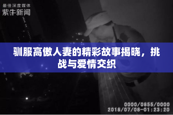 驯服高傲人妻的精彩故事揭晓，挑战与爱情交织