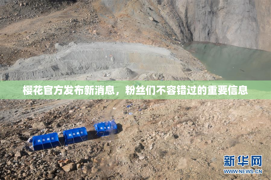 樱花官方发布新消息，粉丝们不容错过的重要信息