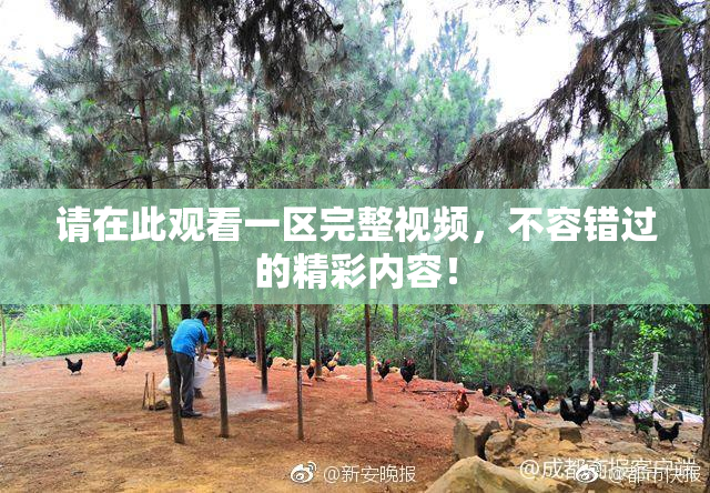 请在此观看一区完整视频，不容错过的精彩内容！