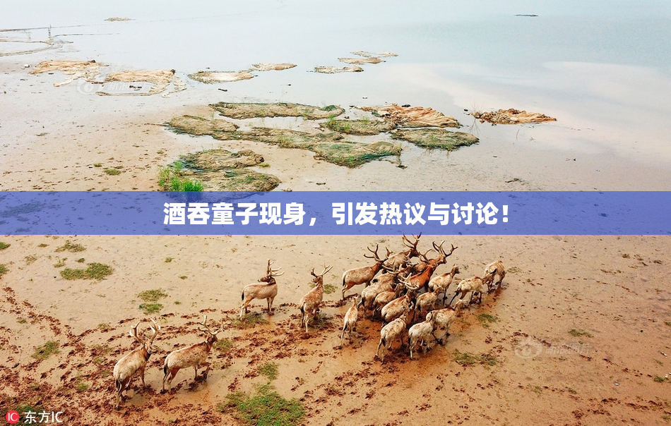 酒吞童子现身，引发热议与讨论！