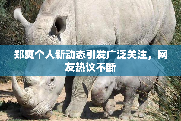 郑爽个人新动态引发广泛关注，网友热议不断