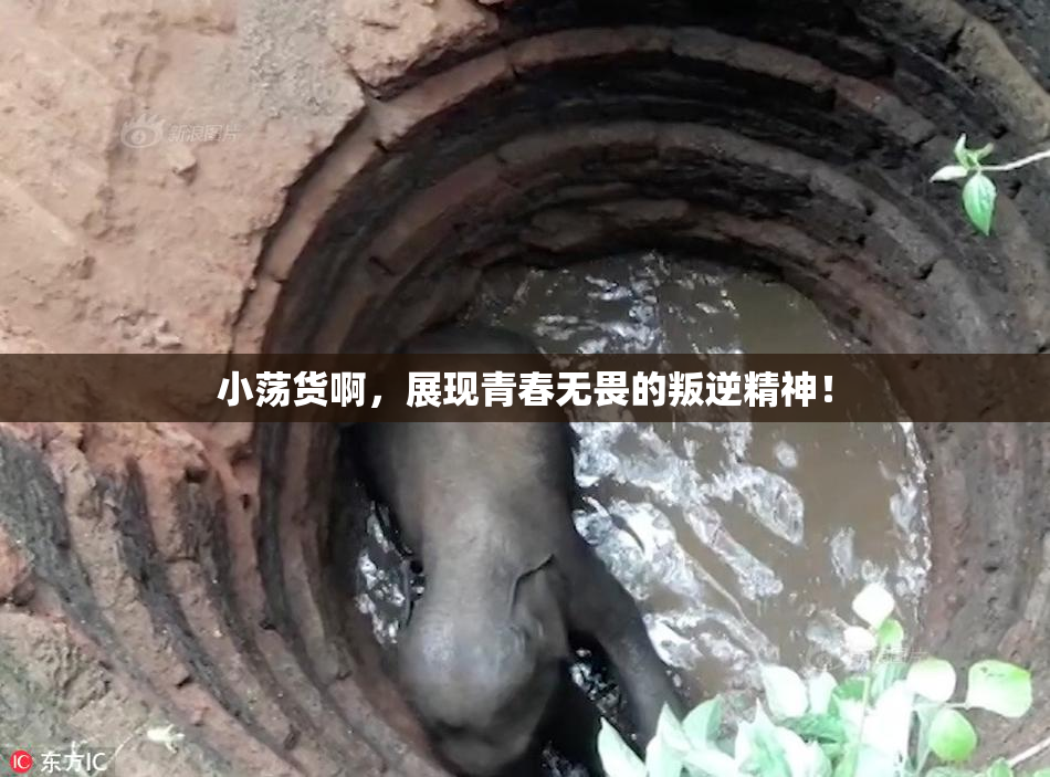 小荡货啊，展现青春无畏的叛逆精神！