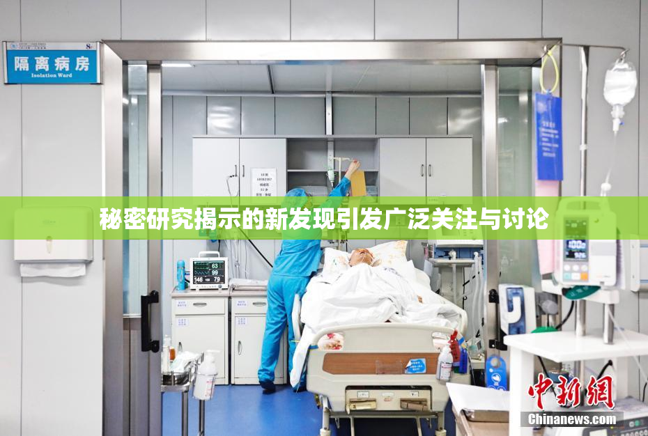 秘密研究揭示的新发现引发广泛关注与讨论