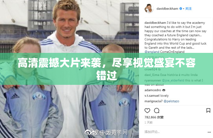 高清震撼大片来袭，尽享视觉盛宴不容错过