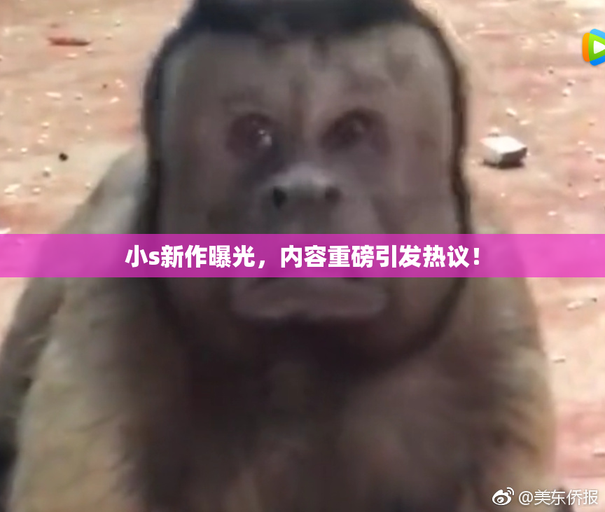 小s新作曝光，内容重磅引发热议！
