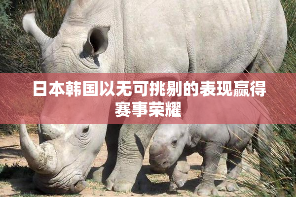 日本韩国以无可挑剔的表现赢得赛事荣耀