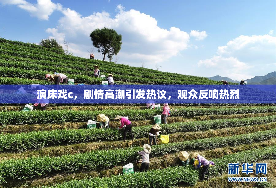 演床戏c，剧情高潮引发热议，观众反响热烈