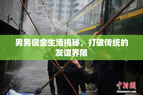 男男宿舍生活揭秘，打破传统的友谊界限