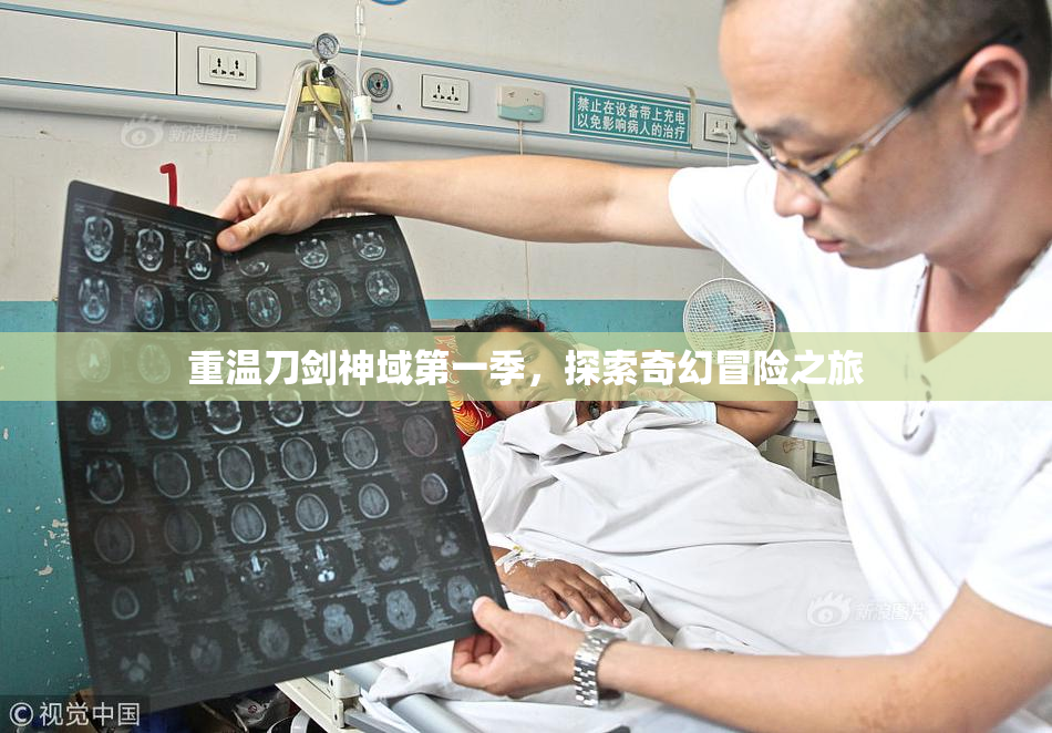 重温刀剑神域第一季，探索奇幻冒险之旅