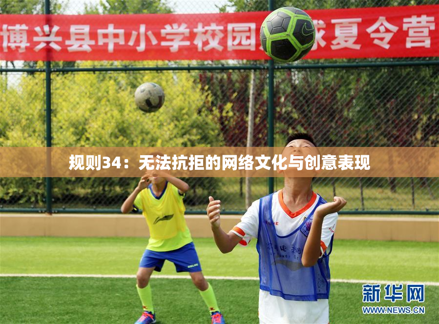 规则34：无法抗拒的网络文化与创意表现