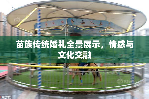 苗族传统婚礼全景展示，情感与文化交融