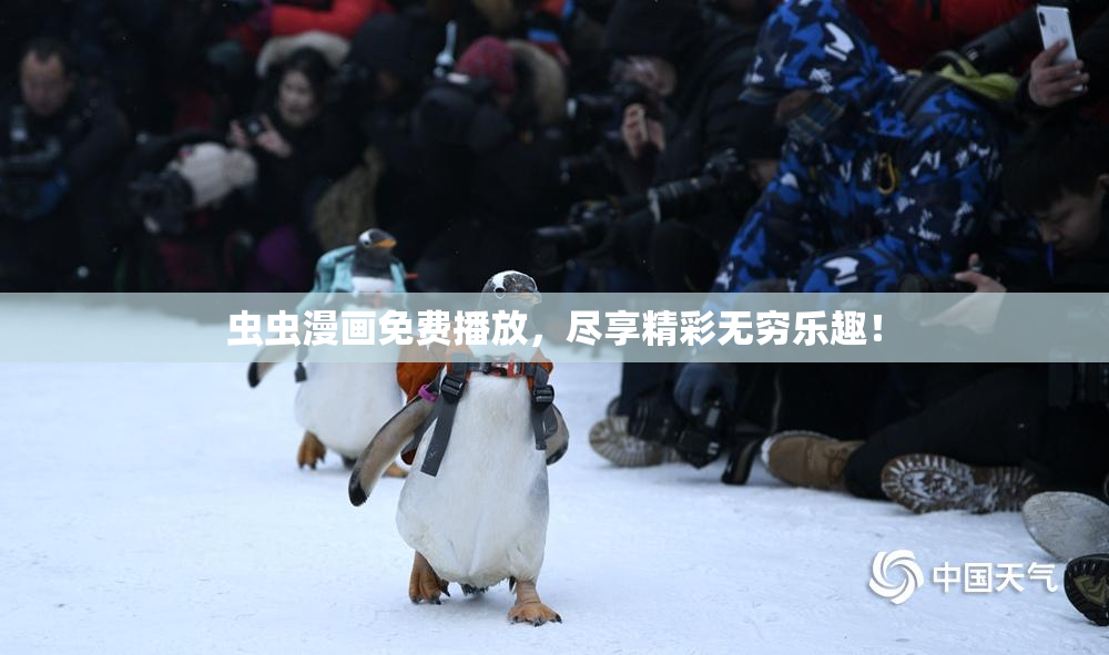 虫虫漫画免费播放，尽享精彩无穷乐趣！
