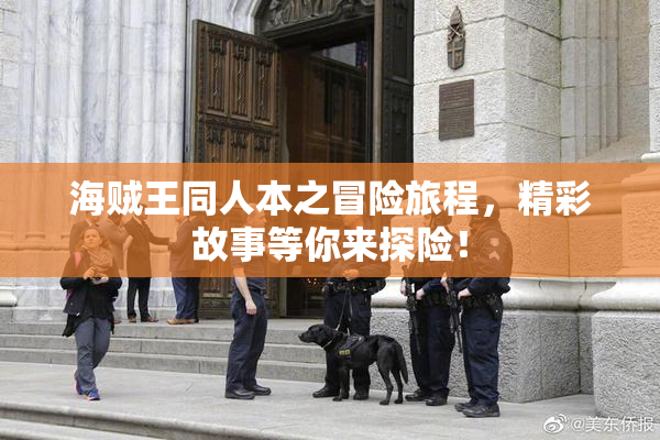海贼王同人本之冒险旅程，精彩故事等你来探险！