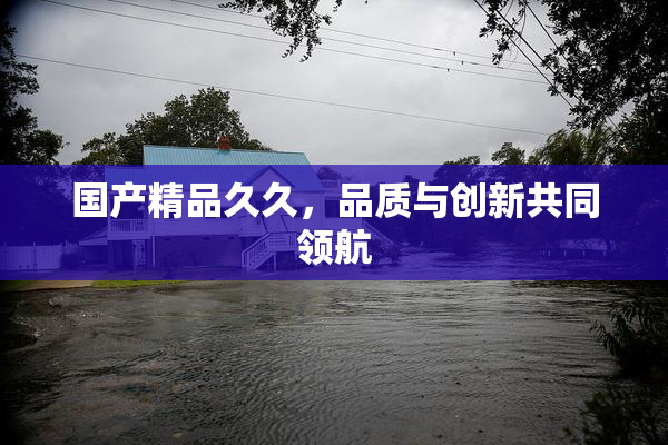 国产精品久久，品质与创新共同领航