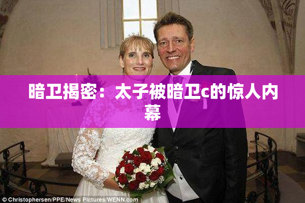 暗卫揭密：太子被暗卫c的惊人内幕