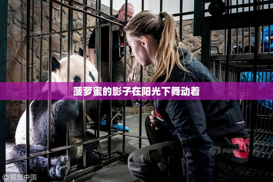 菠萝蜜的影子在阳光下舞动着