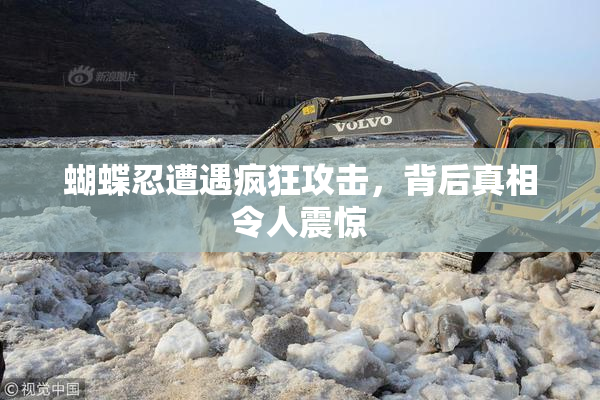 蝴蝶忍遭遇疯狂攻击，背后真相令人震惊