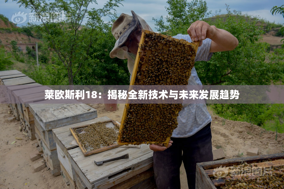 莱欧斯利18：揭秘全新技术与未来发展趋势
