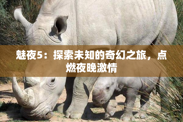 魅夜5：探索未知的奇幻之旅，点燃夜晚激情