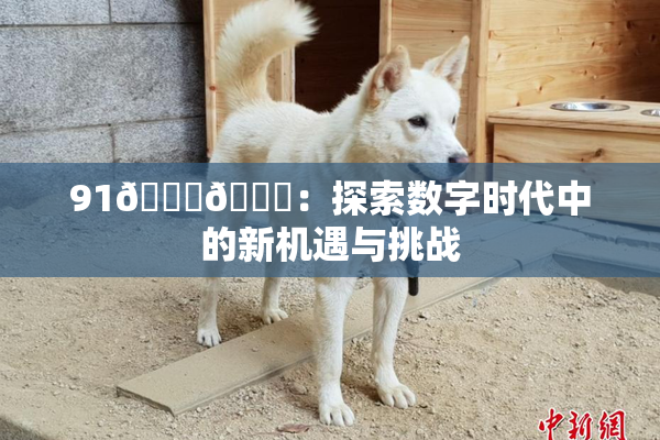 91🍆🍑：探索数字时代中的新机遇与挑战