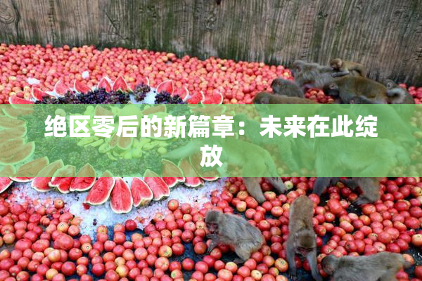 绝区零后的新篇章：未来在此绽放