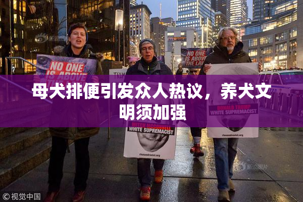 母犬排便引发众人热议，养犬文明须加强