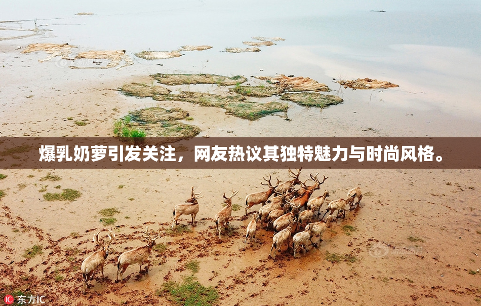爆乳奶萝引发关注，网友热议其独特魅力与时尚风格。