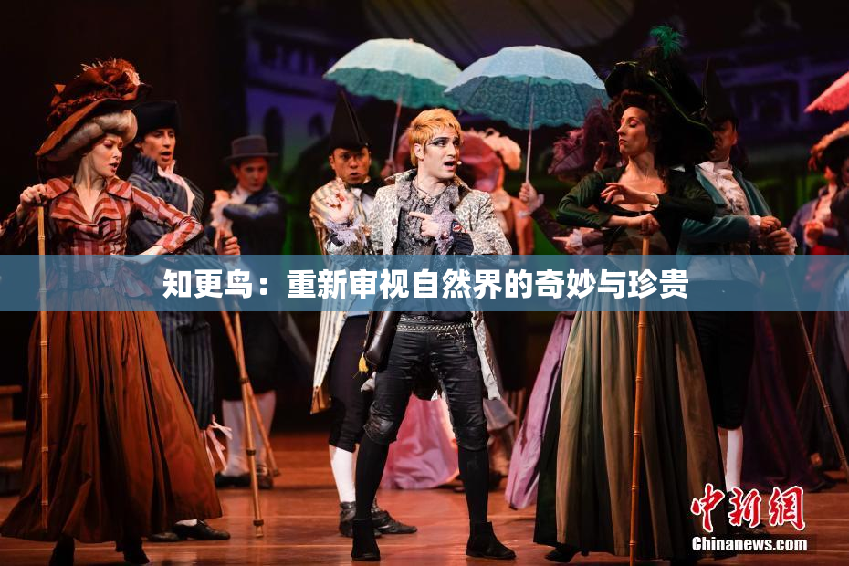 知更鸟：重新审视自然界的奇妙与珍贵