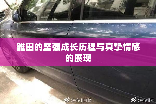 雏田的坚强成长历程与真挚情感的展现