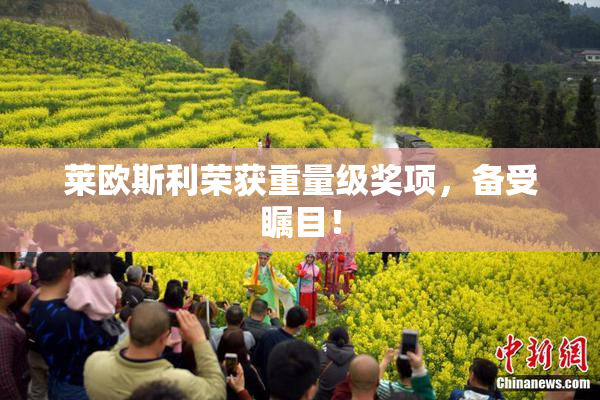 莱欧斯利荣获重量级奖项，备受瞩目！
