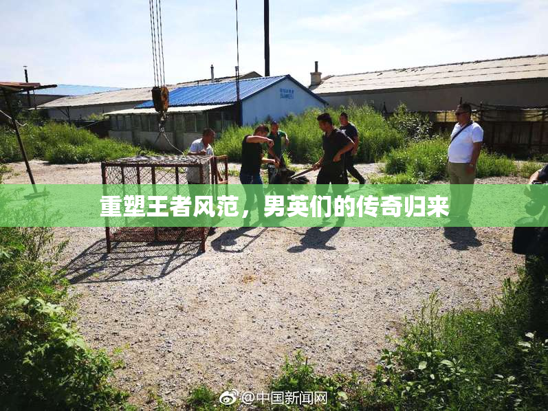 重塑王者风范，男英们的传奇归来