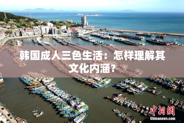 韩国成人三色生活：怎样理解其文化内涵？