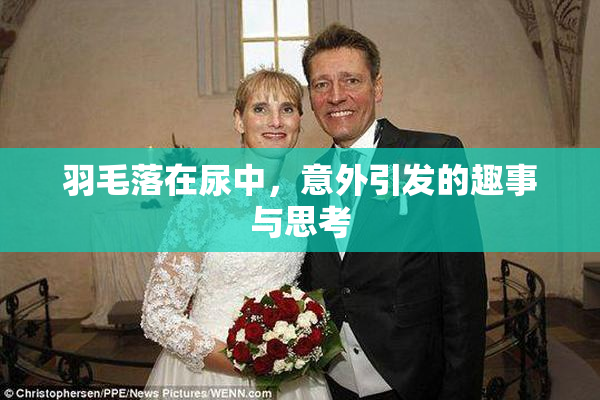 羽毛落在尿中，意外引发的趣事与思考