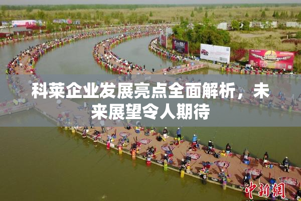 科莱企业发展亮点全面解析，未来展望令人期待