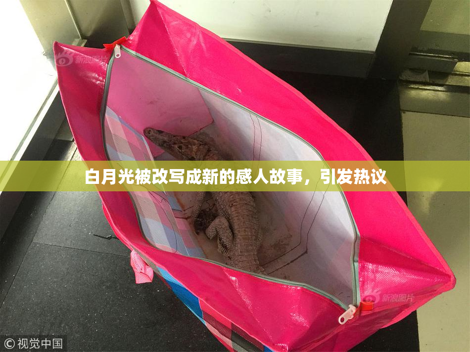 白月光被改写成新的感人故事，引发热议