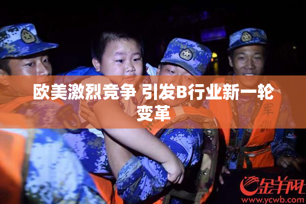 欧美激烈竞争 引发B行业新一轮变革