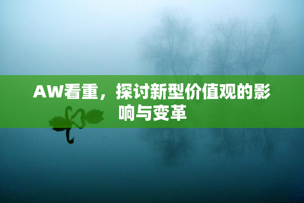AW看重，探讨新型价值观的影响与变革