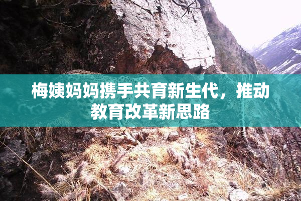 梅姨妈妈携手共育新生代，推动教育改革新思路