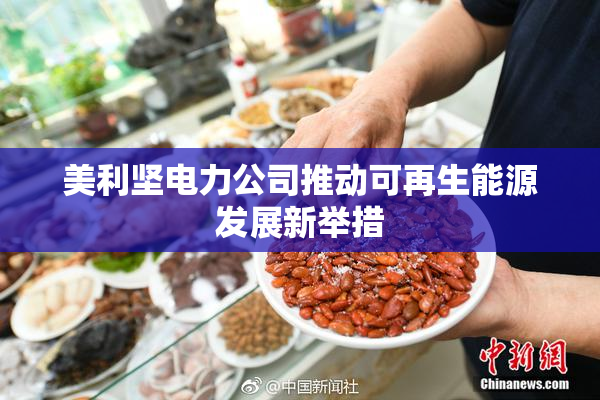 美利坚电力公司推动可再生能源发展新举措