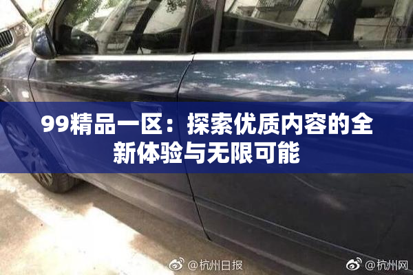 99精品一区：探索优质内容的全新体验与无限可能