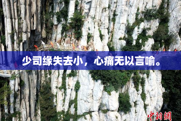 少司缘失去小，心痛无以言喻。