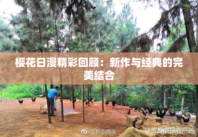 樱花日漫精彩回顾：新作与经典的完美结合