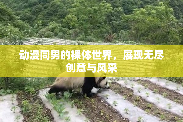 动漫同男的裸体世界，展现无尽创意与风采