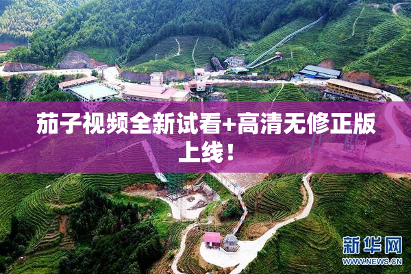 茄子视频全新试看+高清无修正版上线！